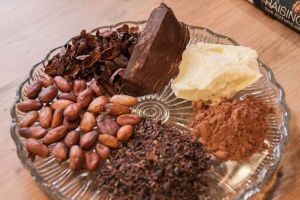 cocoa beans,  Material : Cocoa Beans