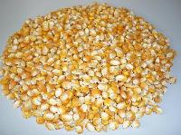 yellow corn