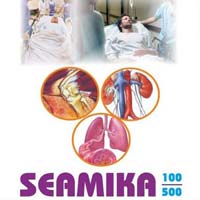 Seamika Injection