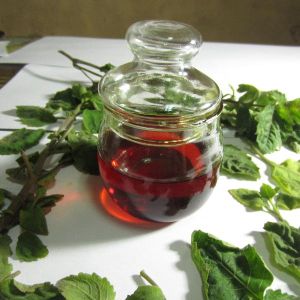 Patchouli Oil,  Packaging Size : 15 ml,1ltr