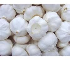 Pure White Garlic