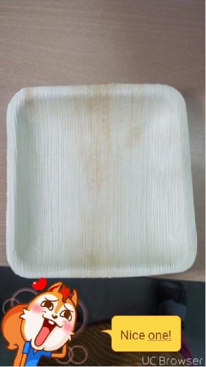 Areca Leaf Plate10/10 Square