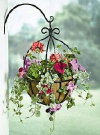 Hanging basket