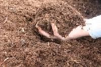 Animal Manure) Compost Fertilizer, Color : Dark Brown To Black
