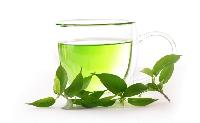 green herbal tea