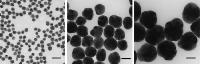 Silver Nanoparticles