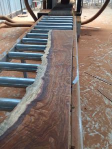 Kira Logs Platymiscium Trinitatis Kira Logs Platymiscium Trinitatis