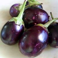 fresh brinjal