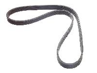 Poly V Belts