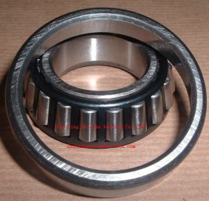Taper Roller Bearings