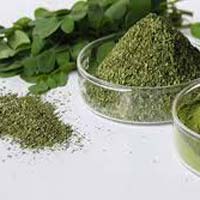 moringa leaf powder