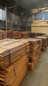 copper cathodes,  Supply Ability : 5000 ton per week
