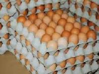 chicken eggs chicken eggs