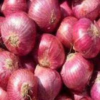 fresh red onion