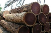 Hickory Logs