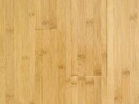 Bamboo Flooring