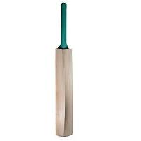cricket products