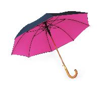 Rain Umbrella