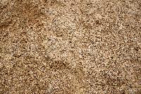 Coarse Sand