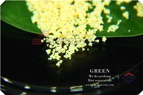 Polymeric Resin Media