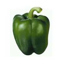 fresh capsicum