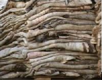 Dry Salted and Wet Salted Of Cow & Sheep Hides