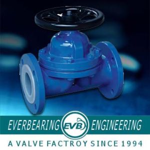 Pn10/pn16 Fluorine Lined Diaphragm Valve