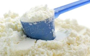 milk powder