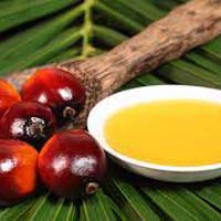 palm oil,  Number Of Flower : Edible Oil
