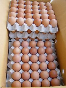 Brown Chicken Eggs
