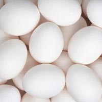 chicken eggs