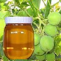Refined Jatropha Oil
