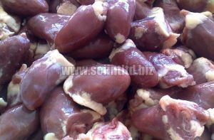 Pet and Farming Animals