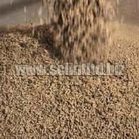 Fresh, Organic & Preserved Vegetables