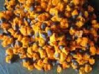 Strelitzia Reginae Seeds, Bird Of Paradise, Crane Flower