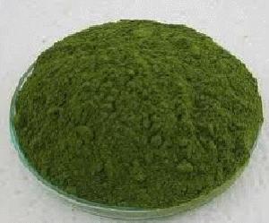 moringa leaves powder