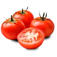 fresh tomato