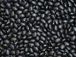 Black Beans