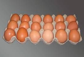 Fresh Chicken Eggs