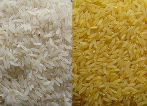 long grain rice,  Packaging Size : 5-25kg