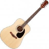 Acoustic Guitars