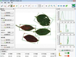 Leaf Analysis System