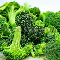 fresh broccoli