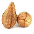 Whole Pulp Matured Semi Husked Coconuts