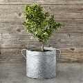 Galvanized Planter