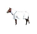 Horse Summer Fly Rugs