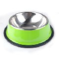 Pet Bowl for Dogs