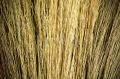 grass Brooms raw material