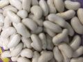 Super NZ Creeper Bean Seeds