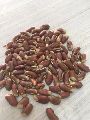 Yard Long Bean Seeds